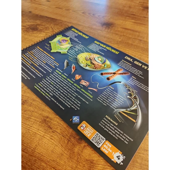 7. Sınıf Poster Notlar Seti Kr Akademi Yayınları