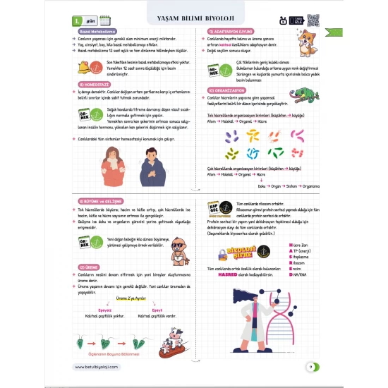 Betül Biyoloji Konu Anlatımı 28 Günde TYT Biyoloji Video Kamp Kitabı