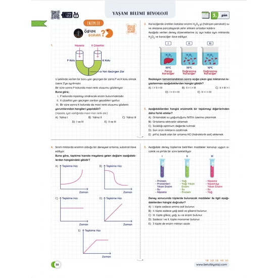 Betül Biyoloji Konu Anlatımı 28 Günde TYT Biyoloji Video Kamp Kitabı
