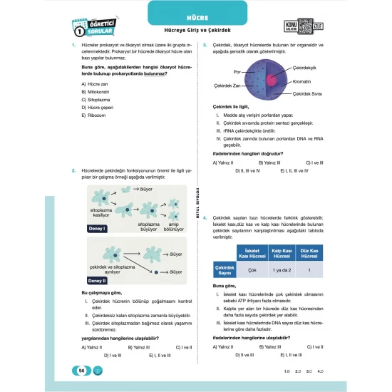 Betül Biyoloji TYT Biyoloji Soru Bankası