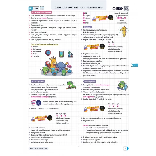 Betül Biyoloji Konu Anlatımı 28 Günde TYT Biyoloji Video Kamp Kitabı