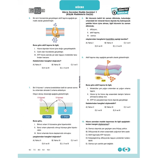 Betül Biyoloji TYT Biyoloji Soru Bankası