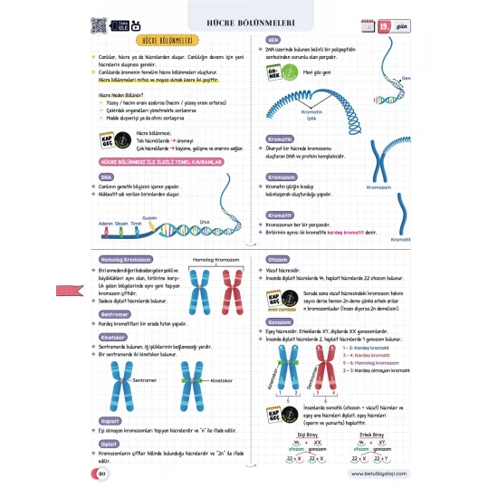 Betül Biyoloji Konu Anlatımı 28 Günde TYT Biyoloji Video Kamp Kitabı