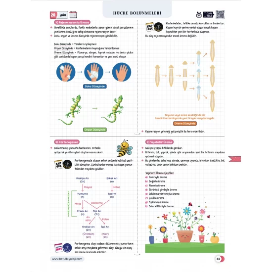 Betül Biyoloji Konu Anlatımı 28 Günde TYT Biyoloji Video Kamp Kitabı