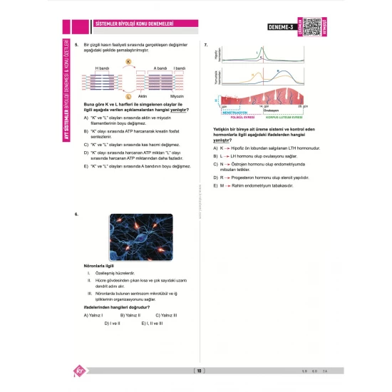 Dilek Kuvvet Kuvvetli Biyoloji AYT Biyoloji Sistemler 40 Deneme Konu Özetleri KR Akademi Yayınları