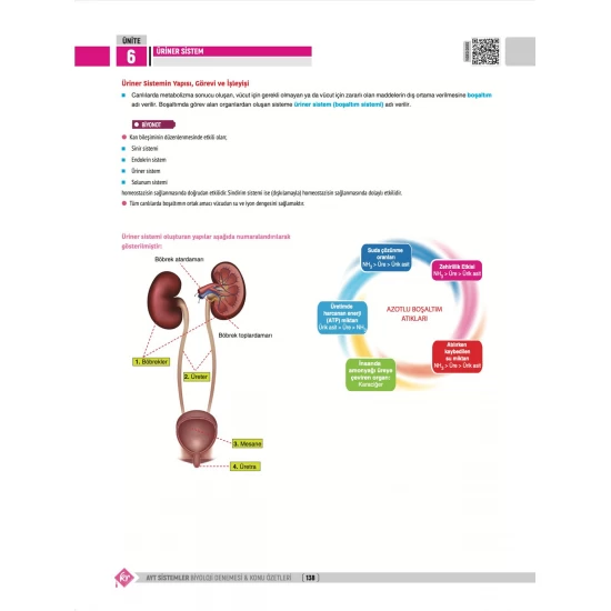 Dilek Kuvvet Kuvvetli Biyoloji AYT Biyoloji Sistemler 40 Deneme Konu Özetleri KR Akademi Yayınları