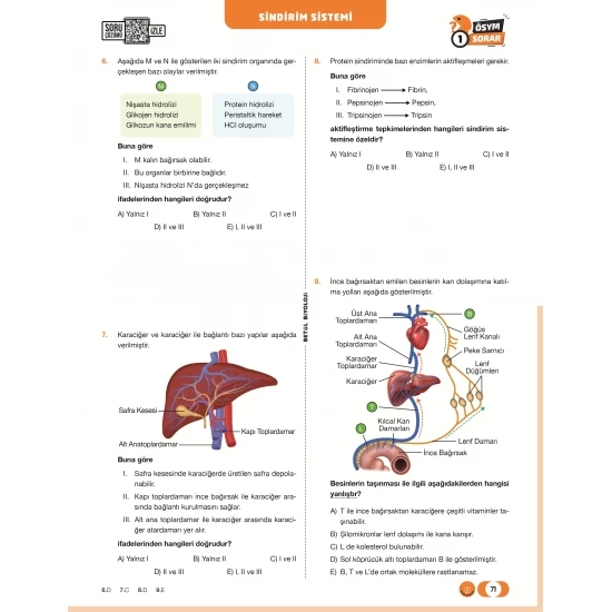 Betül Biyoloji AYT Biyoloji Soru Bankası