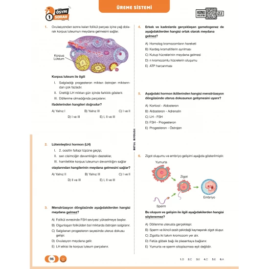 Betül Biyoloji AYT Biyoloji Soru Bankası