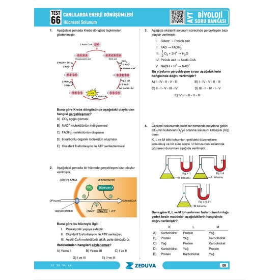 Zeduva Yayınları Biosem AYT Biyoloji 1 Kitap 3 Kamp Soru Bankası
