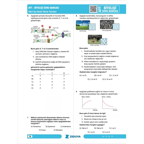 Zeduva Yayınları Biosem AYT Biyoloji 1 Kitap 3 Kamp Soru Bankası