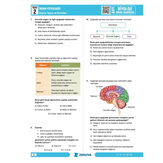 Zeduva Yayınları Biosem AYT Biyoloji 1 Kitap 3 Kamp Soru Bankası