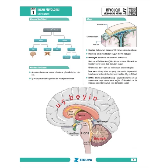 Zeduva Yayınları Biosem AYT Biyoloji 1 Kitap 3 Kamp Video Ders Kitabı