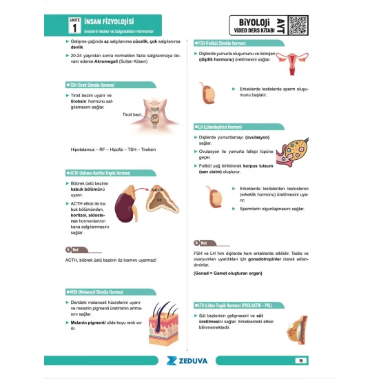 Zeduva Yayınları Biosem AYT Biyoloji 1 Kitap 3 Kamp Video Ders Kitabı