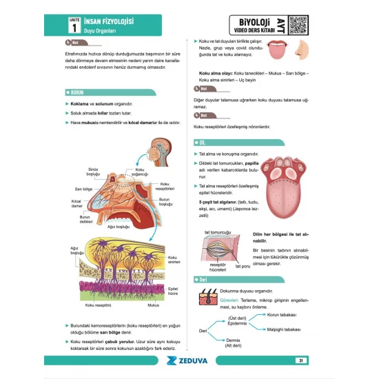 Zeduva Yayınları Biosem AYT Biyoloji 1 Kitap 3 Kamp Video Ders Kitabı