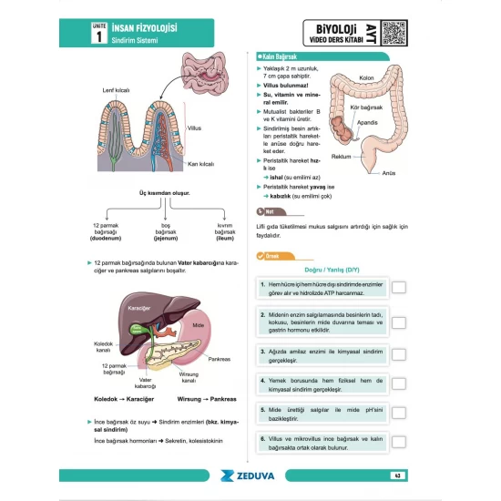 Zeduva Yayınları Biosem AYT Biyoloji 1 Kitap 3 Kamp Video Ders Kitabı