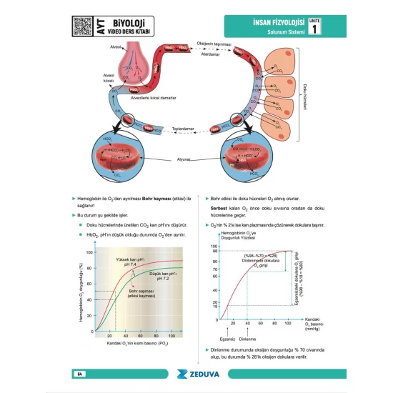 Zeduva Yayınları Biosem AYT Biyoloji 1 Kitap 3 Kamp Video Ders Kitabı