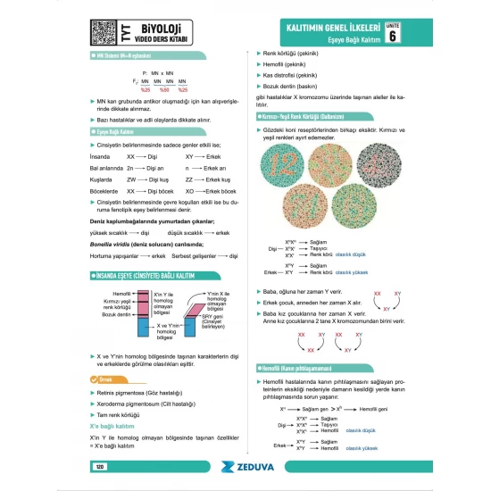 Zeduva Yayınları Biosem TYT Biyoloji 1 Kitap 3 Kamp Video Ders Kitabı