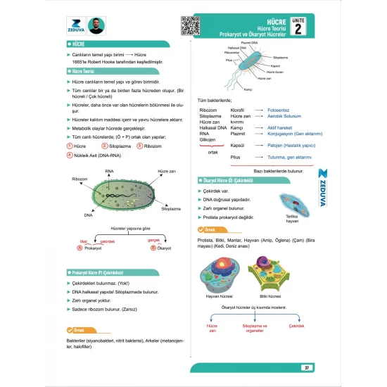 Zeduva Yayınları Biosem TYT Biyoloji 1 Kitap 3 Kamp Video Ders Kitabı