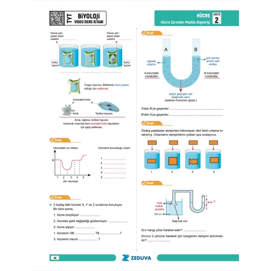 Zeduva Yayınları Biosem TYT Biyoloji 1 Kitap 3 Kamp Video Ders Kitabı