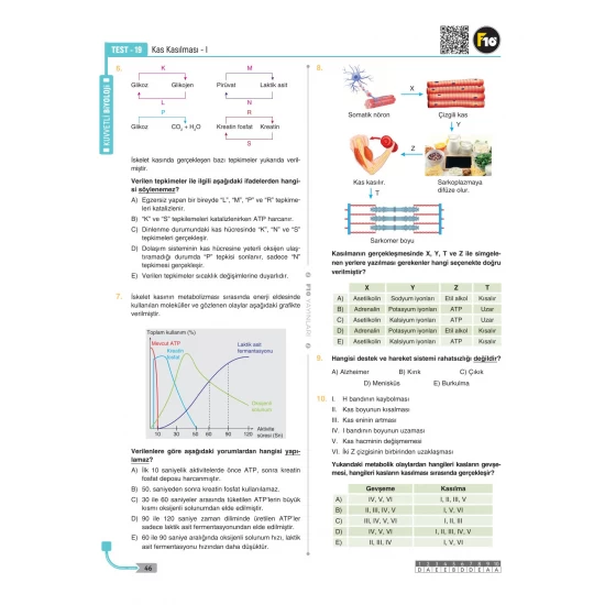 Dilek Hocayla 50 Günde AYT Biyoloji Soru Bankası F10 Yayınları