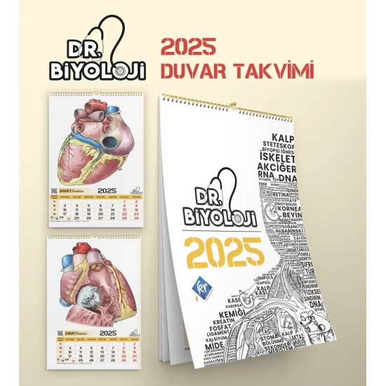 Barış Hoca Dr. Biyoloji Poster Takvim