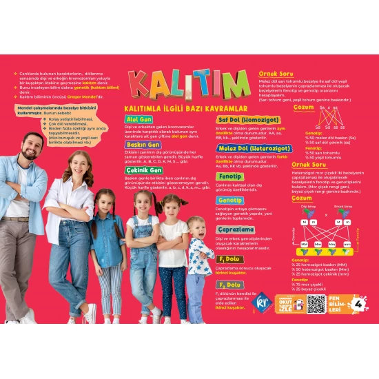 2026 LGS Poster Notlar Seti (5'li) KR Akademi Yayınları