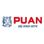 Puan Yayınları
