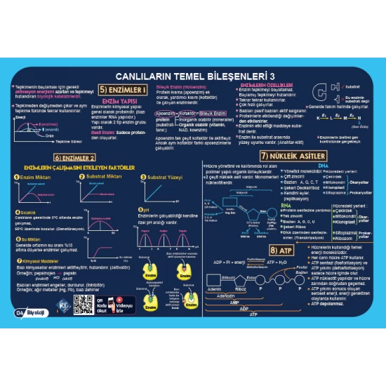 2026 TYT Poster Notlar Seti KR Akademi Yayınları